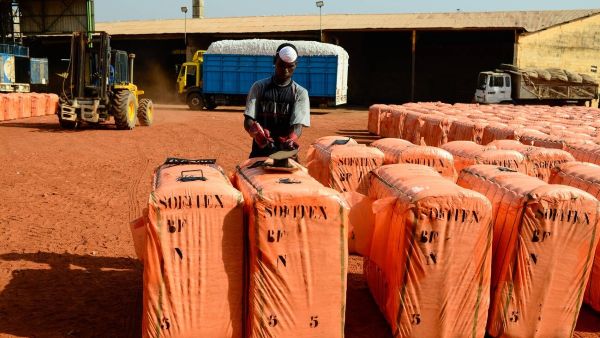 Cotton from Burkina Faso, the 'White Gold'